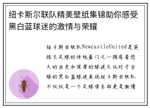 纽卡斯尔联队精美壁纸集锦助你感受黑白蓝球迷的激情与荣耀