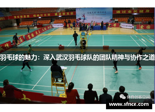 羽毛球的魅力：深入武汉羽毛球队的团队精神与协作之道