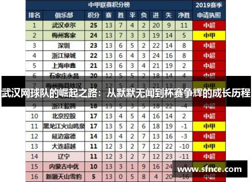 武汉网球队的崛起之路：从默默无闻到杯赛争辉的成长历程