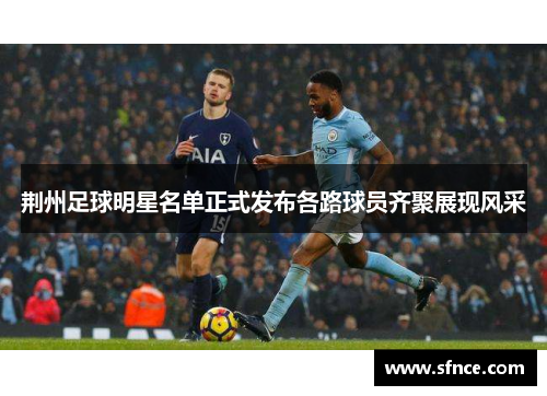 荆州足球明星名单正式发布各路球员齐聚展现风采